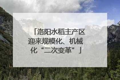 洛阳水稻主产区迎来规模化、机械化“二次变革”