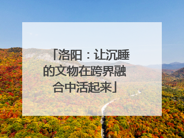 洛阳：让沉睡的文物在跨界融合中活起来