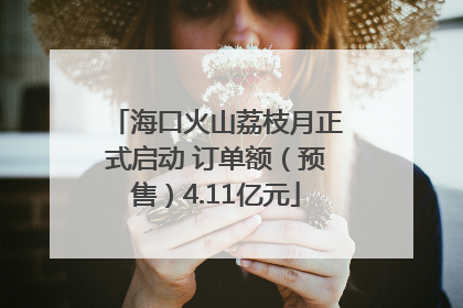 海口火山荔枝月正式启动 订单额（预售）4.11亿元
