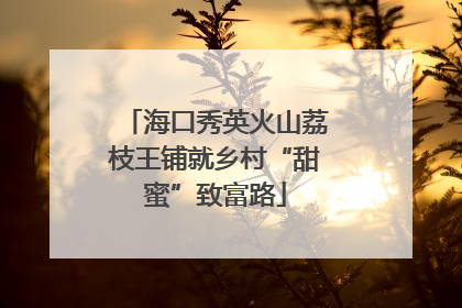 海口秀英火山荔枝王铺就乡村“甜蜜”致富路