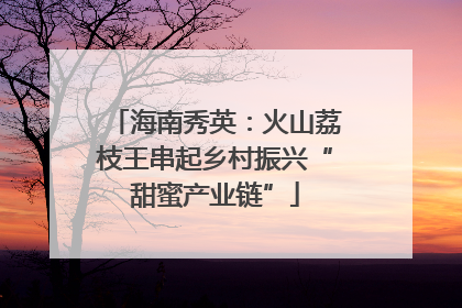 海南秀英：火山荔枝王串起乡村振兴“甜蜜产业链”