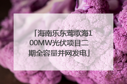 海南乐东莺歌海100MW光伏项目二期全容量并网发电