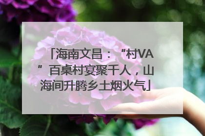 海南文昌：“村VA”百桌村宴聚千人，山海间升腾乡土烟火气