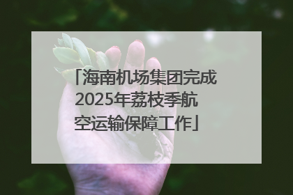 海南机场集团完成2025年荔枝季航空运输保障工作
