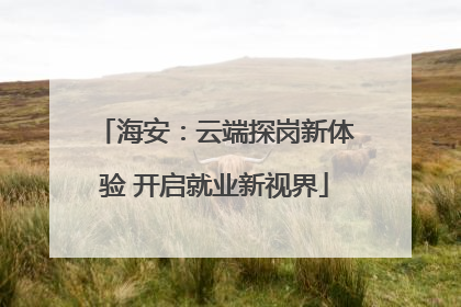 海安：云端探岗新体验 开启就业新视界