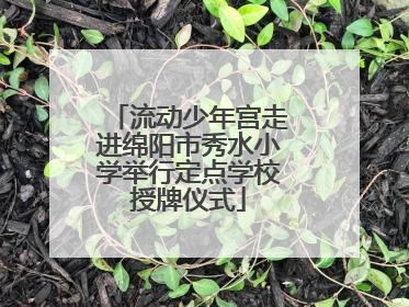 流动少年宫走进绵阳市秀水小学举行定点学校授牌仪式