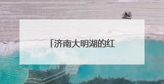 济南大明湖的红尾伯劳登枝高歌