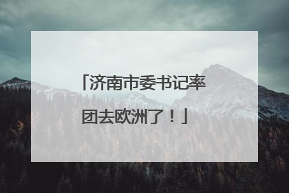 济南市委书记率团去欧洲了！