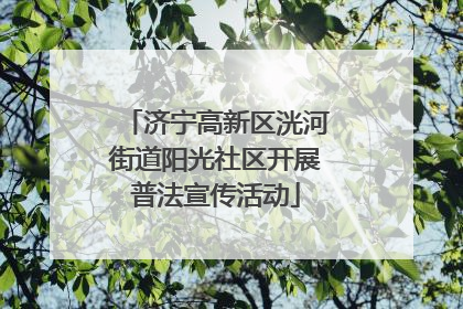 济宁高新区洸河街道阳光社区开展普法宣传活动