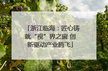 浙江临海：匠心铸就“视”界之窗 创新驱动产业腾飞