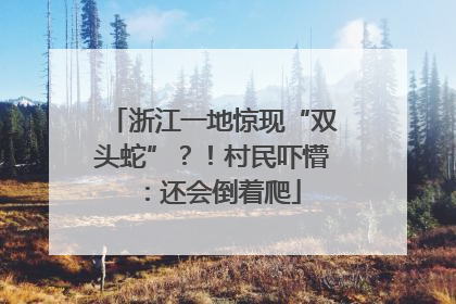 浙江一地惊现“双头蛇”？！村民吓懵：还会倒着爬