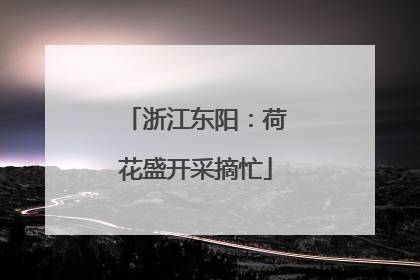 浙江东阳：荷花盛开采摘忙