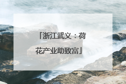 浙江武义：荷花产业助致富