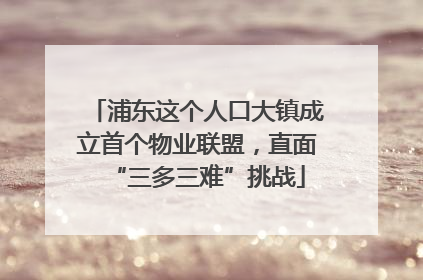 浦东这个人口大镇成立首个物业联盟，直面“三多三难”挑战