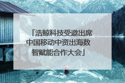 浩鲸科技受邀出席中国移动中资出海数智赋能合作大会