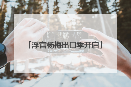 浮宫杨梅出口季开启