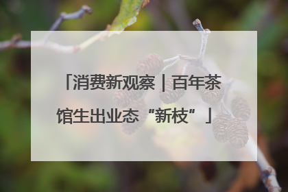 消费新观察｜百年茶馆生出业态“新枝”