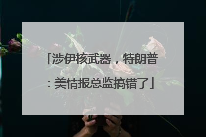 涉伊核武器，特朗普：美情报总监搞错了