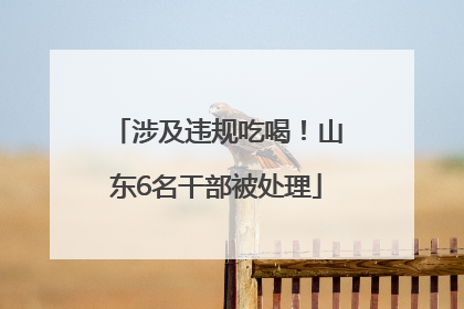 涉及违规吃喝！山东6名干部被处理
