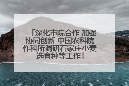 深化市院合作 加强协同创新 中国农科院作科所调研石家庄小麦选育种等工作