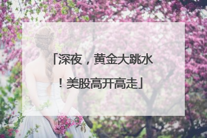 深夜，黄金大跳水！美股高开高走