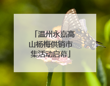 温州永嘉高山杨梅供销市集活动启幕
