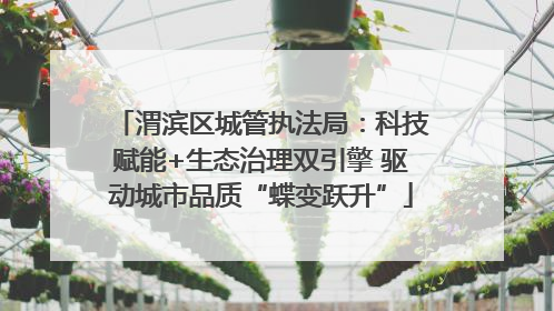 渭滨区城管执法局：科技赋能+生态治理双引擎 驱动城市品质“蝶变跃升”