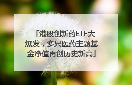港股创新药ETF大爆发，多只医药主题基金净值再创历史新高