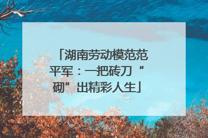 湖南劳动模范范平军：一把砖刀“砌”出精彩人生