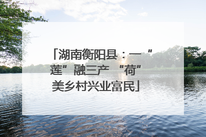 湖南衡阳县：一“莲”融三产 “荷”美乡村兴业富民