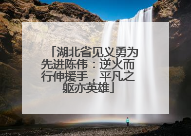 湖北省见义勇为先进陈伟：逆火而行伸援手，平凡之躯亦英雄