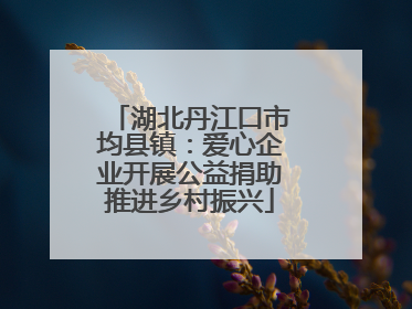 湖北丹江口市均县镇：爱心企业开展公益捐助推进乡村振兴