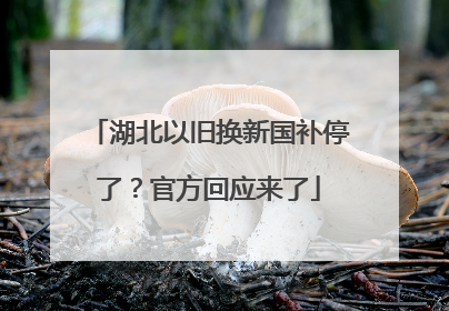 湖北以旧换新国补停了？官方回应来了