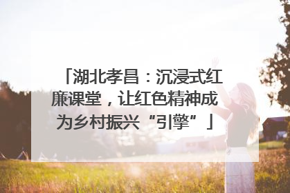 湖北孝昌：沉浸式红廉课堂，让红色精神成为乡村振兴“引擎”
