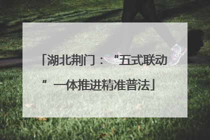 湖北荆门：“五式联动”一体推进精准普法