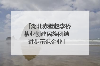 湖北赤壁赵李桥茶业创建民族团结进步示范企业