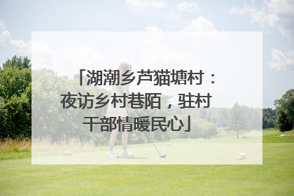 湖潮乡芦猫塘村：夜访乡村巷陌，驻村干部情暖民心