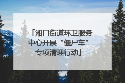 湘口街道环卫服务中心开展“僵尸车”专项清理行动
