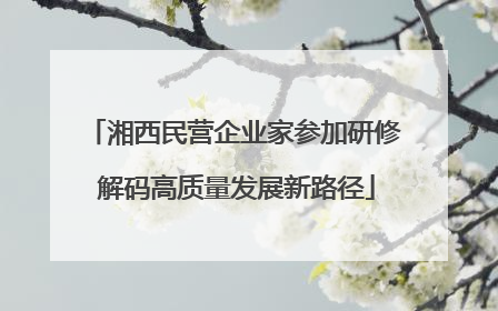 湘西民营企业家参加研修 解码高质量发展新路径