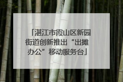 湛江市霞山区新园街道创新推出“出摊办公”移动服务台