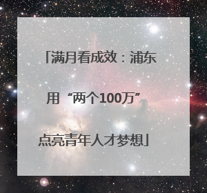 满月看成效：浦东用“两个100万”点亮青年人才梦想