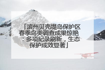 滨州贝壳堤岛保护区春季鸟类调查成果惊艳：多项纪录刷新，生态保护成效显著
