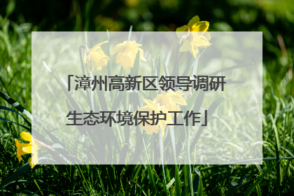 漳州高新区领导调研生态环境保护工作
