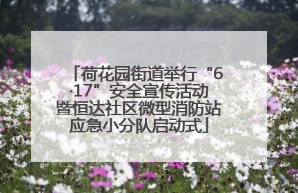 荷花园街道举行“6·17”安全宣传活动暨恒达社区微型消防站应急小分队启动式