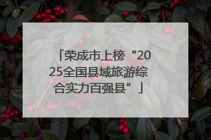 荣成市上榜“2025全国县域旅游综合实力百强县”