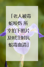 老人被毒蛇咬伤 所幸拍下照片及时注射抗蛇毒血清
