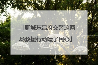 聊城东昌府交警这两场救援行动暖了民心