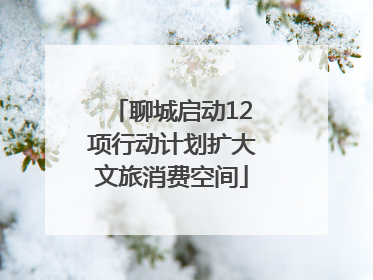 聊城启动12项行动计划扩大文旅消费空间