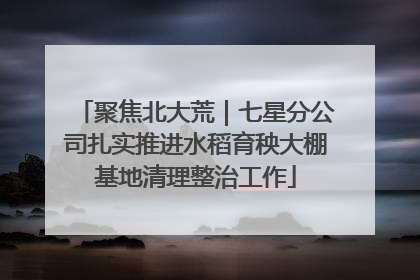 聚焦北大荒｜七星分公司扎实推进水稻育秧大棚基地清理整治工作