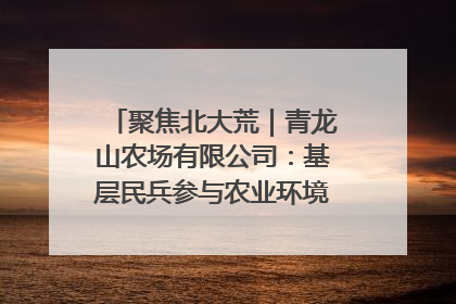 聚焦北大荒｜青龙山农场有限公司：基层民兵参与农业环境综合治理显效